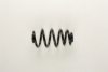 AUDI 8E0511115DG Coil Spring